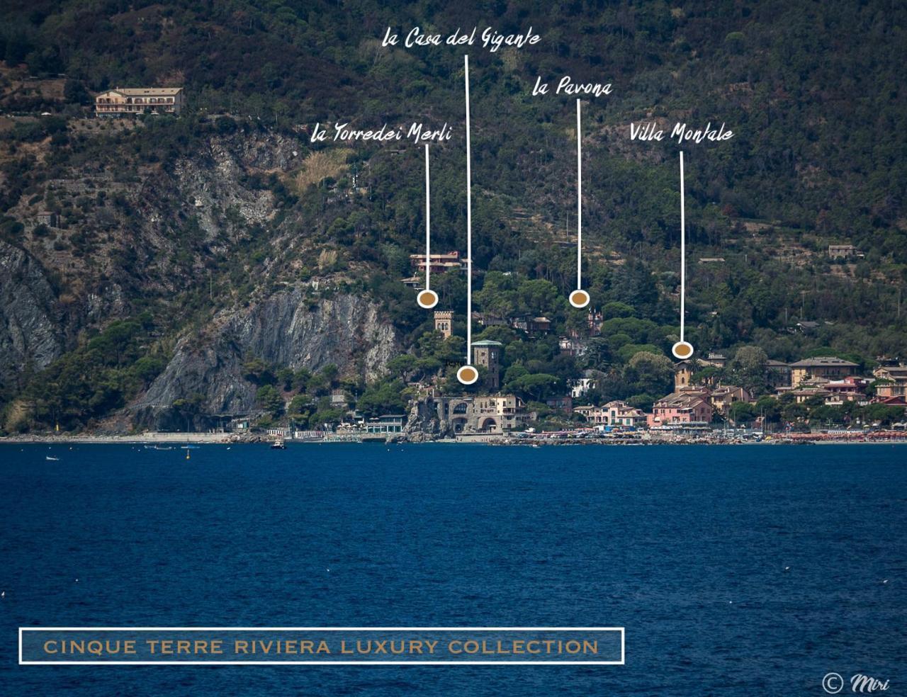 Villa Montale Apartment I Limoni Monterosso al Mare Dış mekan fotoğraf
